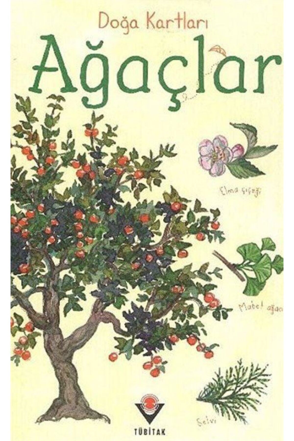 Tübitak Doğa Kartları - Ağaçlar Emily Bon