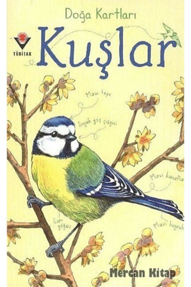 Tübitak Doğa Kartları / Kuşlar