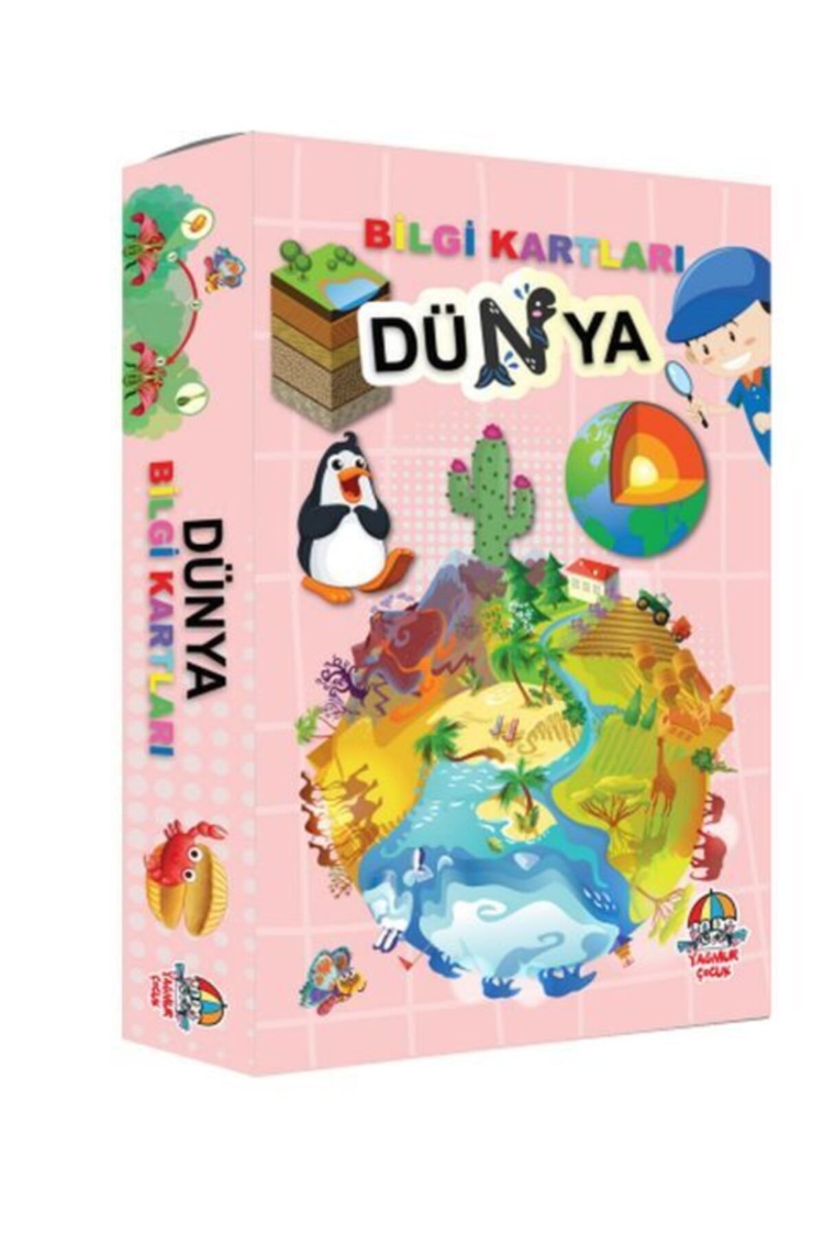 Bilgi Kartları - Dünya